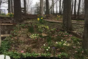 1315 Ridge Rd, Wildwood, MO 63021 - Photo 66