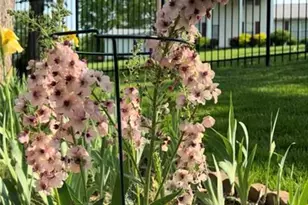 1315 Ridge Rd, Wildwood, MO 63021 - Photo 76