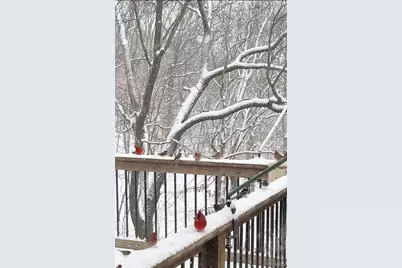 1315 Ridge Road, Wildwood, MO 63021 - Photo 86