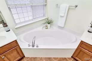 608 Geiser Brook Ct, Lake Saint Louis, MO 63367 - Photo 46