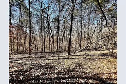 227 Champion Oak Trail, Gerald, MO 63037 - Photo 22