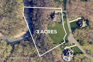 9736 Avondale Hills Ln, Wentzville, MO 63385 - Photo 2