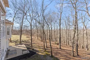9736 Avondale Hills Ln, Wentzville, MO 63385 - Photo 38