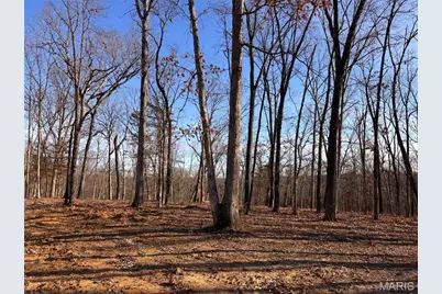Lot 9 Klausmeier Trails, Wright City, MO 63390 - Photo 2