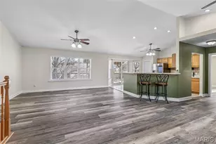 61 Swan Ln, Farmington, MO 63640 - Photo 4