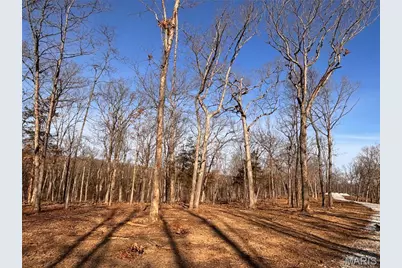 Lot 10 Klausmeier Trails, Wright City, MO 63390 - Photo 6