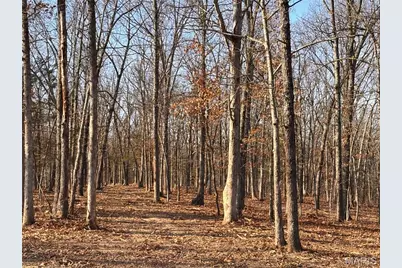 Lot 10 Klausmeier Trails, Wright City, MO 63390 - Photo 4