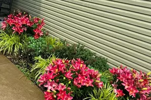 1561 Timber Wolf Dr, Festus, MO 63028 - Photo 6