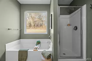 1561 Timber Wolf Dr, Festus, MO 63028 - Photo 44