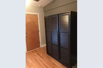 2229 Marconi Avenue, Saint Louis, MO 63110 - Photo 30