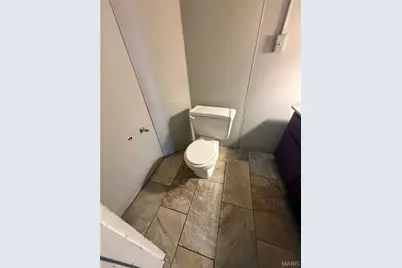 919 Bates Street, Saint Louis, MO 63111 - Photo 4