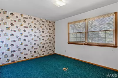 406 N Harding Street, Desloge, MO 63601 - Photo 40