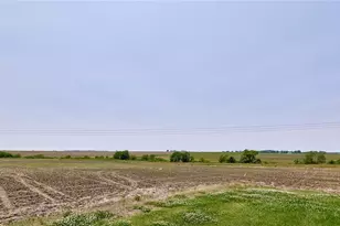 339 White Rd, Hawk Point, MO 63349 - Photo 26