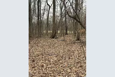 Highway T Forest Road 3697, Poplar Bluff, MO 63901 - Photo 8