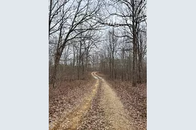 Highway T Forest Road 3697, Poplar Bluff, MO 63901 - Photo 1