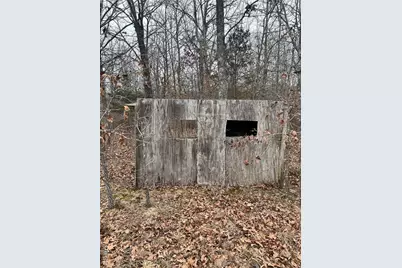 Highway T Forest Road 3697, Poplar Bluff, MO 63901 - Photo 6