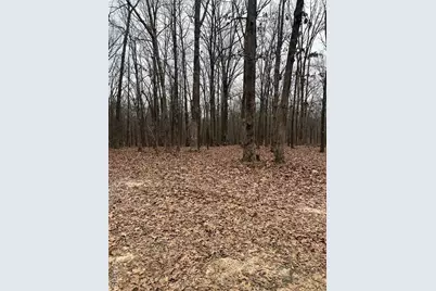 Highway T Forest Road 3697, Poplar Bluff, MO 63901 - Photo 10