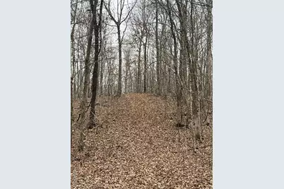 Highway T Forest Road 3697, Poplar Bluff, MO 63901 - Photo 22