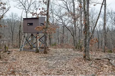 6281 County Road 133, Fulton, MO 65251 - Photo 30