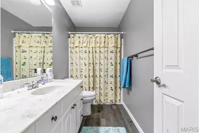 10 Crystal Lake Court, Festus, MO 63028 - Photo 66