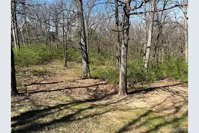 1631 Dunaway Road, Festus, MO 63028 - Photo 2