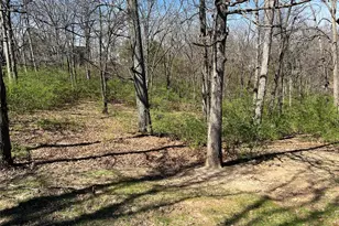 1631 Dunaway Rd, Festus, MO 63028 - Photo 2
