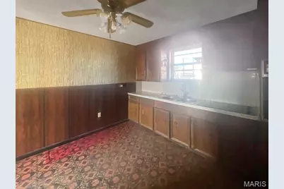 170 Lee Avenue, Sikeston, MO 63801 - Photo 4