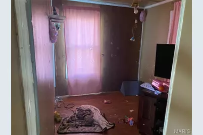 806 Butler Street, Hannibal, MO 63401 - Photo 6