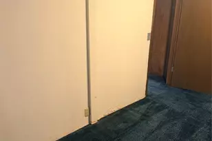 1303 Highway NN, Poplar Bluff, MO 63901 - Photo 30