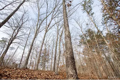 Lot 6-7 Wheel Estates, Villa Ridge, MO 63089 - Photo 8