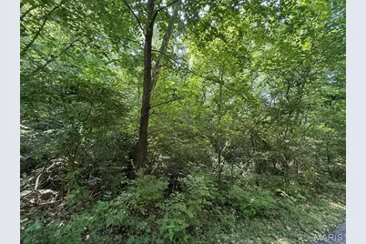 168 Cherokee Court, Pacific, MO 63069 - Photo 14