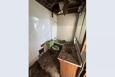 1323 N Taylor Avenue, Saint Louis, MO 63113 - Photo 28