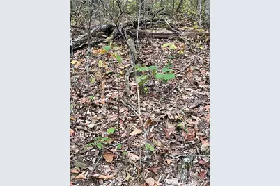 28 Monroe Hills Lane, Linn, MO 65051 - Photo 24