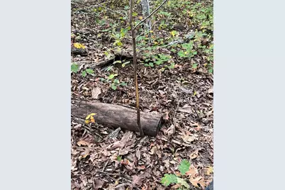 28 Monroe Hills Lane, Linn, MO 65051 - Photo 22