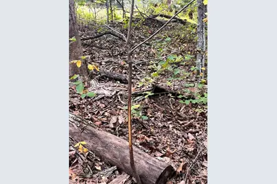 28 Monroe Hills Lane, Linn, MO 65051 - Photo 26