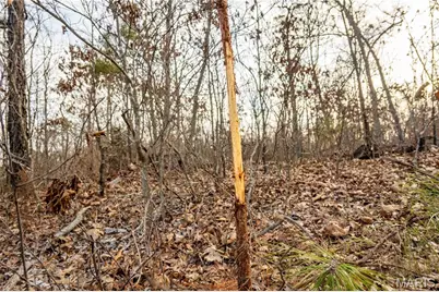 13174 W State Highway 8, Potosi, MO 63664 - Photo 72