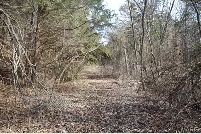 6.09 State Highway A, Truxton, MO 63381 - Photo 46