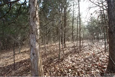 6.09 State Highway A, Truxton, MO 63381 - Photo 8