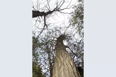 6.09 State Highway A, Truxton, MO 63381 - Photo 30