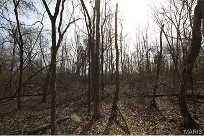 6.09 State Highway A, Truxton, MO 63381 - Photo 16