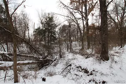 6.09 State Highway A, Truxton, MO 63381 - Photo 2