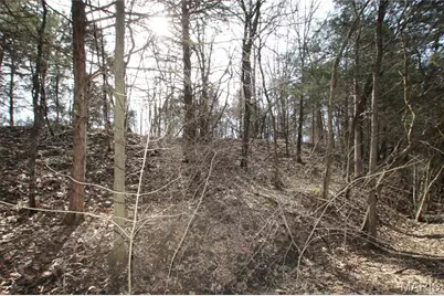 6.09 State Highway A, Truxton, MO 63381 - Photo 36