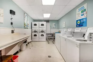 3438 Russell Blvd, Saint Louis, MO 63104 - Photo 30