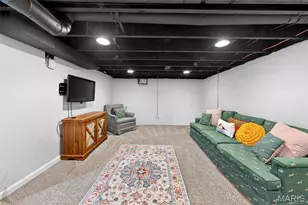 324 Stark Ct, Webster Groves, MO 63119 - Photo 42