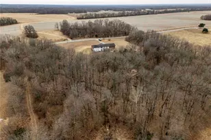 581 Hwy Z, Whiteside, MO 63377 - Photo 38