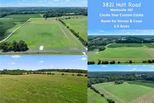 3821 Holt Rd (6 6 Acres), Wentzville, MO 63385 - Photo 1