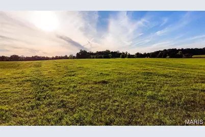 3821 Holt Rd (6.6 Acres), Wentzville, MO 63385 - Photo 14