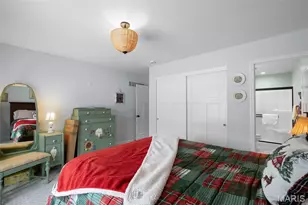 114 Doctrine Dr, Festus, MO 63028 - Photo 18