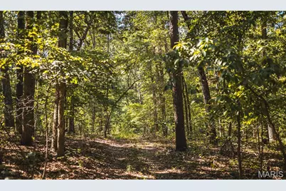 000 County Road 5600, Salem, MO 65560 - Photo 52