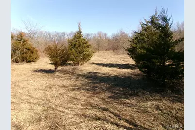 1175 Pike 41, Bowling Green, MO 63334 - Photo 10